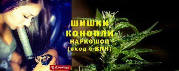 не бодяженный Бородино